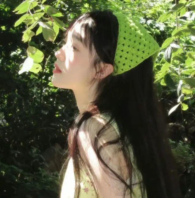 绽放的玫瑰